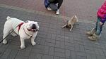     
: 2012-03-19-059.jpg
: 5
:	83.7 
ID:	4544493