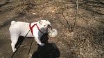     
: 2012-03-25-070.jpg
: 4
:	162.7 
ID:	4544497