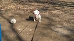     
: 2012-03-25-072.jpg
: 5
:	190.1 
ID:	4544500