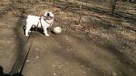     
: 2012-03-25-069.jpg
: 3
:	175.9 
ID:	4544502