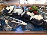     
: IMG_0302.jpg
: 18
:	177.8 
ID:	4544548