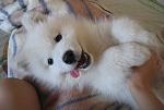    
: IMG_4444 2.jpg
: 31
:	91.6 
ID:	4545253