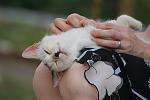     
: DSC06853.jpg
: 5
:	74.5 
ID:	4546914