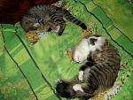     
: PICT5405.jpg
: 7
:	162.5 
ID:	4548383