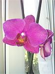     
: IMG_0909.jpg
: 4
:	93.4 
ID:	4549354