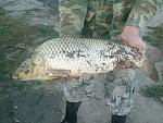     
: 14072012664.jpg
: 37
:	170.2 
ID:	4549710
