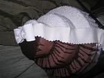     
: IMG_2864.jpg
: 19
:	45.5 
ID:	4550544