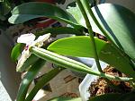     
: DSCN1710.jpg
: 9
:	125.7 
ID:	4551900