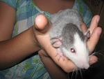     
: IMG_6999.JPG
: 8
:	141.8 
ID:	4553285