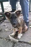     
: Mult4_500.jpg
: 14
:	72.9 
ID:	4557910