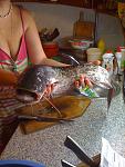     
: IMG_0446.jpg
: 20
:	113.1 
ID:	4558169