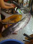     
: IMG_0445.jpg
: 22
:	108.4 
ID:	4558170