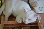     
: DSC_0216.jpg
: 18
:	74.6 
ID:	4562803
