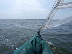     
: P5204955.jpg
: 14
:	139.7 
ID:	4562865