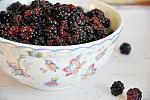     
: DSC_8896ф.jpg
: 12
:	108.9 
ID:	4563221