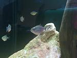     
: DSC_0090.jpg
: 16
:	118.9 
ID:	4563579