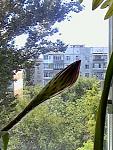     
: IMG0294A.jpg
: 4
:	38.7 
ID:	4565668