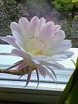     
: IMG0298A.jpg
: 6
:	25.6 
ID:	4565669