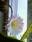     
: IMG0297A.jpg
: 7
:	23.5 
ID:	4565670