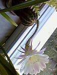     
: IMG0299A.jpg
: 7
:	27.6 
ID:	4565671
