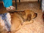     
: DSC07554.jpg
: 38
:	185.7 
ID:	4567068