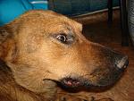     
: DSC07555.jpg
: 31
:	169.7 
ID:	4567070