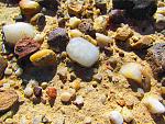     
: IMG_0539.jpg
: 10
:	240.3 
ID:	4567649