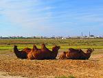     
: IMG_1568.jpg
: 12
:	178.7 
ID:	4567716