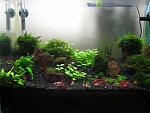    
: IMG_1903.jpg
: 36
:	149.5 
ID:	4568126