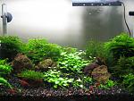     
: IMG_1947.jpg
: 26
:	182.7 
ID:	4568140
