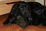     
: b8dcf41430d6.jpg
: 23
:	42.2 
ID:	456985