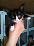     
: IMG_0538.jpg
: 5
:	69.3 
ID:	4570334