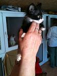     
: IMG_0546.jpg
: 5
:	68.0 
ID:	4570335