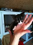     
: IMG_0561.jpg
: 9
:	70.9 
ID:	4570336