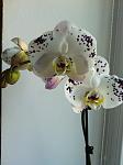     
: IMG_0947.jpg
: 3
:	95.3 
ID:	4572281