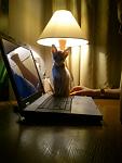     
: z_76afc8f7.jpg
: 30
:	103.4 
ID:	4577661