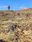     
: IMG_5775.jpg
: 11
:	196.7 
ID:	4578322