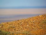     
: IMG_6003.jpg
: 8
:	171.5 
ID:	4578433