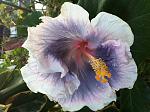     
: IMG_0943.jpg
: 2
:	147.0 
ID:	4580307
