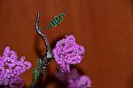     
: DSC_0218.jpg
: 3
:	81.8 
ID:	4580730