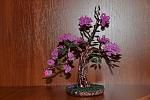     
: DSC_0214.jpg
: 3
:	136.9 
ID:	4580740