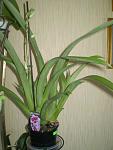     
: P1010695.JPG
: 26
:	165.0 
ID:	4582562