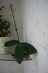     
: IMG_0173.jpg
: 80
:	51.7 
ID:	458413