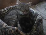     
: IMG0936A.jpg
: 7
:	45.3 
ID:	4584998