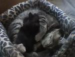     
: IMG0940A.jpg
: 7
:	54.7 
ID:	4585025