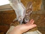     
: DSC07477.jpg
: 10
:	126.8 
ID:	4588763