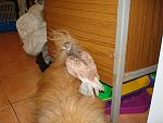     
: DSC07485.jpg
: 9
:	129.1 
ID:	4588765