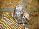     
: DSC07475.jpg
: 8
:	168.6 
ID:	4588766