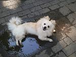     
: IMG_20120725_090220.jpg
: 613
:	178.2 
ID:	4589544