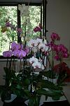     
: DSCN3505.JPG
: 14
:	120.5 
ID:	4590165